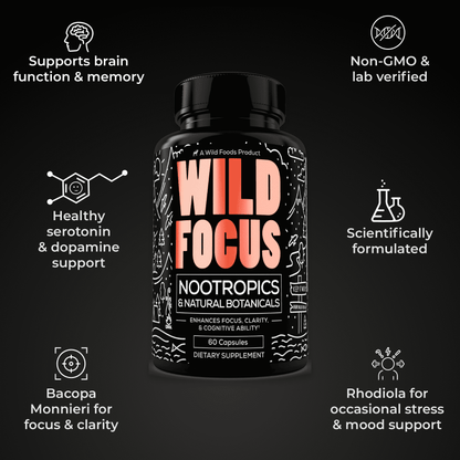 Wholesale Case of 12 - Wild Focus Nootropic Blend