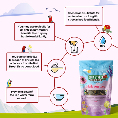 Halcyon Parrot Tea - Triathlete Store