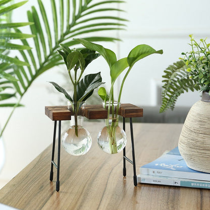 Desktop Vintage Plant Terrarium & Propagation Station