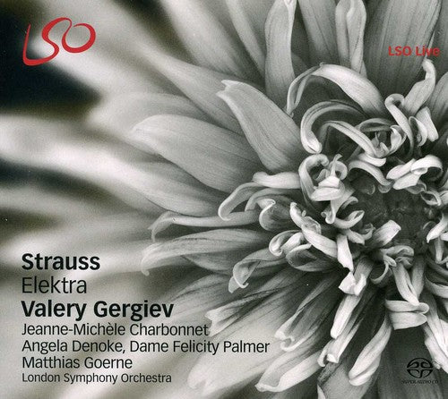 Valery Gergiev - Elektra [2 CD]
