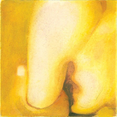 Smashing Pumpkins - Pisces Iscariot [2 LP] Vinyl Record