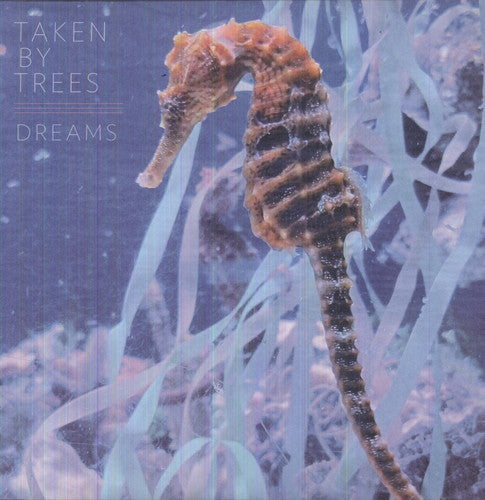 Taken By Trees - Dreams [12" Vinyl]
