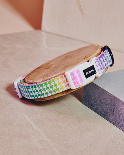 Rainbowtooth Collar & Bowtie