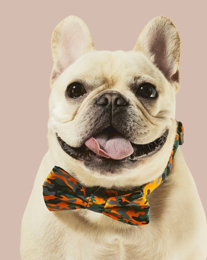 Camo QT Orange Collar & Bowtie