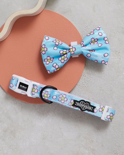 Smiling Sakura Dog Collar & Bowtie
