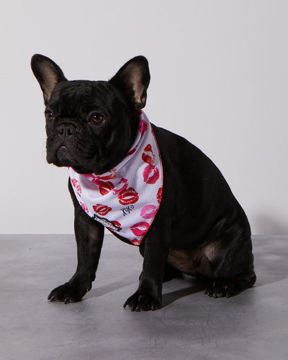 Smooch My Pooch Cooling Bandana