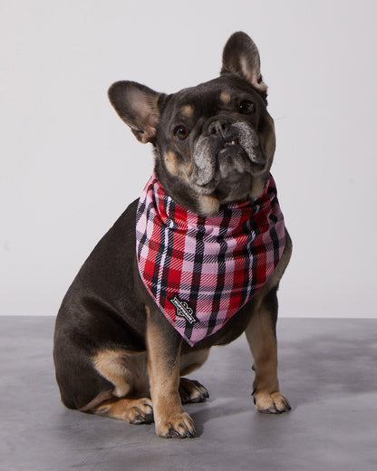 Puppy Love Plaid Cooling Bandana