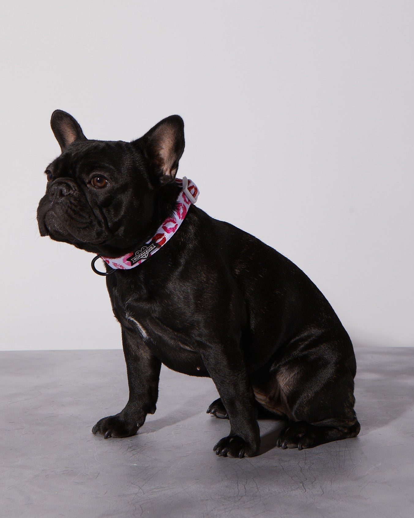 Smooch My Pooch Dog Collar & Bowtie