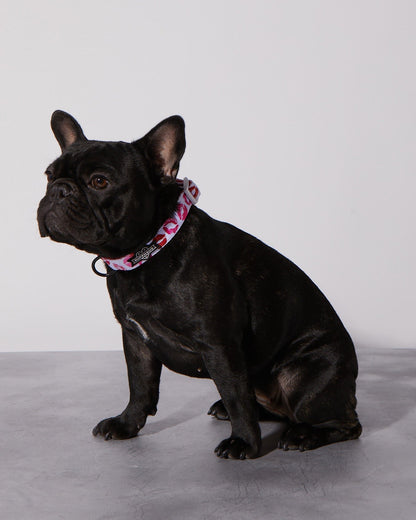 Smooch My Pooch Dog Collar & Bowtie