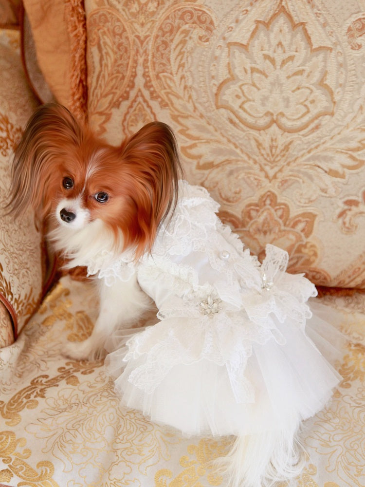 Handcraft White Lace Vintage Dog Wedding Dress Pet Bridal Outfit
