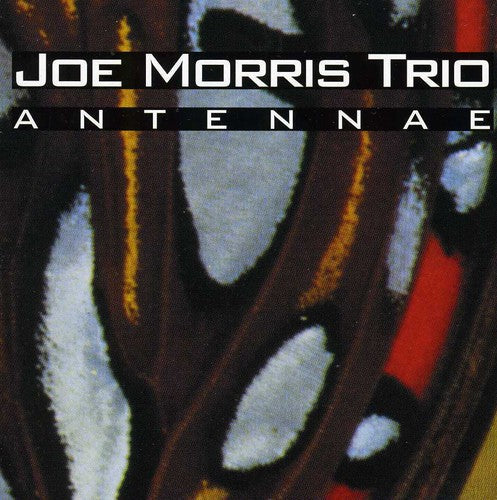 Joe Morris Trio - Antennae Music CD