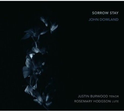 J Dowland - Sorrow Stay Rosemary Hodgson/Justin Burwood [CD]