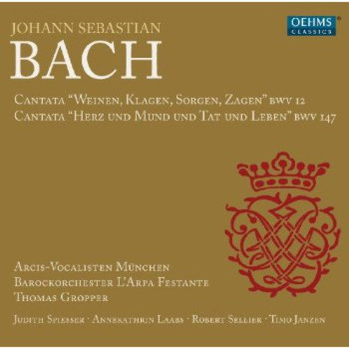 Arpa Festante Baroque Orchestra, L' - Cantatas [CD]