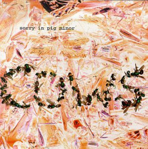 Cows - Sorry in Pig Minor [CD]