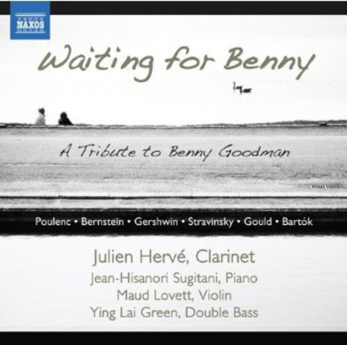 Julien Herve - Clarinet Sonatas & Other Works [CD]