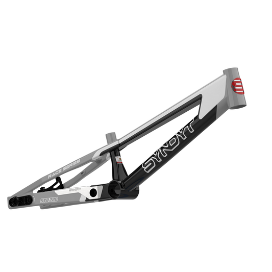SYB 220: 22” TT Pro 3XL BMX Frame