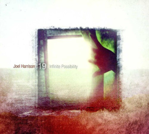 Joel Harrison 19 - Infinite Possibility [CD]