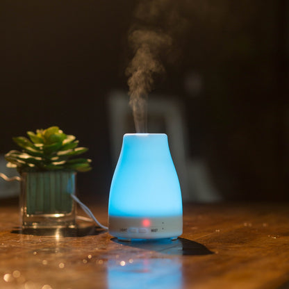 Compact Ultrasonic Reptile Humidifier & Fogger