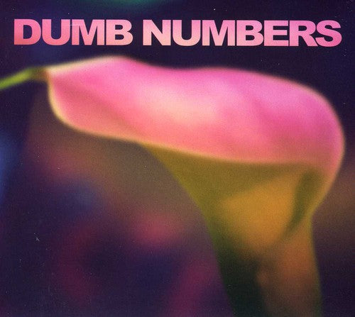 Dumb Numbers - Dumb Numbers Music CD