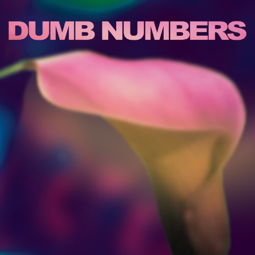 Dumb Numbers - Dumb Numbers - Vinyl Record