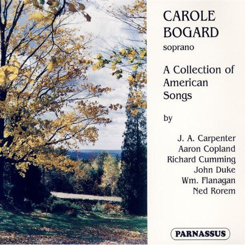 Collection Of American Songs / Various - Collection of American Songs / Various [2 CD]
