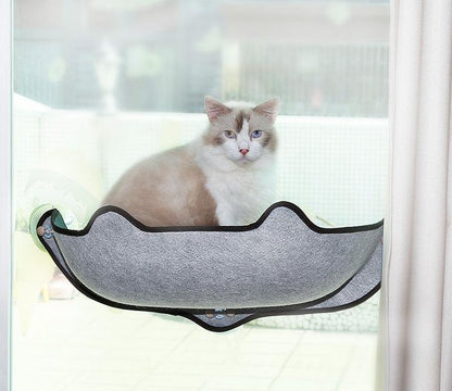 Cat Window Hammock Bed