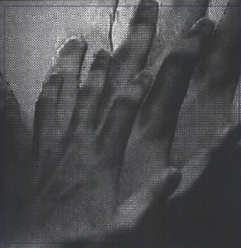 Painted Caves - Surveillance [LP] Vinyl Record