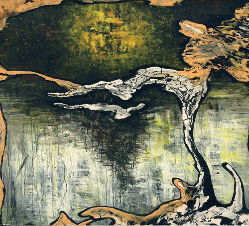 Julian Lynch - Terra Music CD