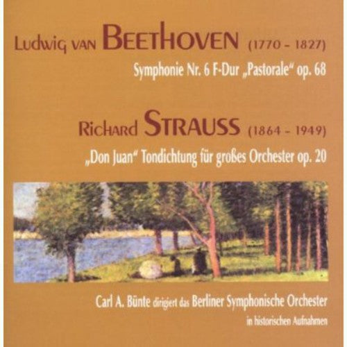 Berliner Sinfonie Orchester - Sym No 6 / Don Juan [CD]