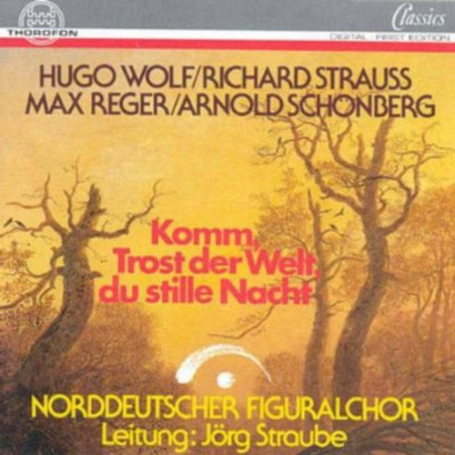 Norddeutscher Figuralchor - Come Consolation of the World [CD]