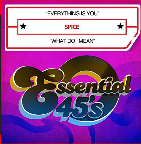 Spice - Everything Is You / What Do I Mean [CD]