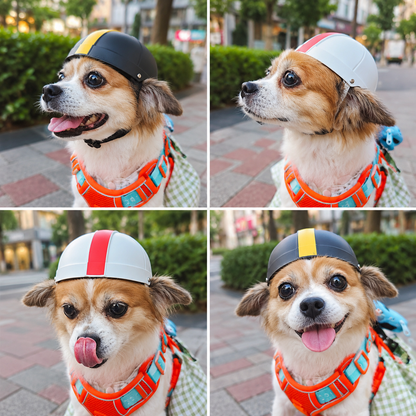 Black or White Pet Bike Helmet