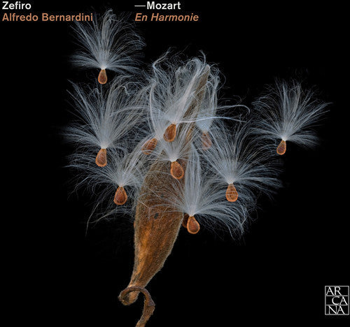 Alfredo Bernardini - En Harmonie [CD]