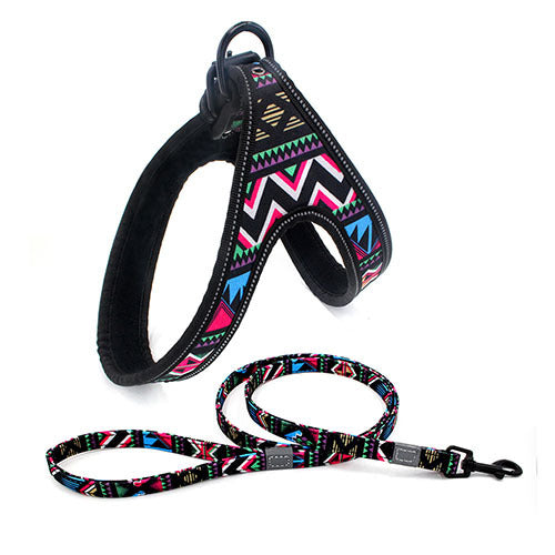 Night-Safe Dog Harness & Leash Set