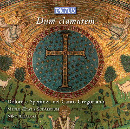 Nino Albarosa - Sorrow & Hope in Gregorian Chant / Various [CD]