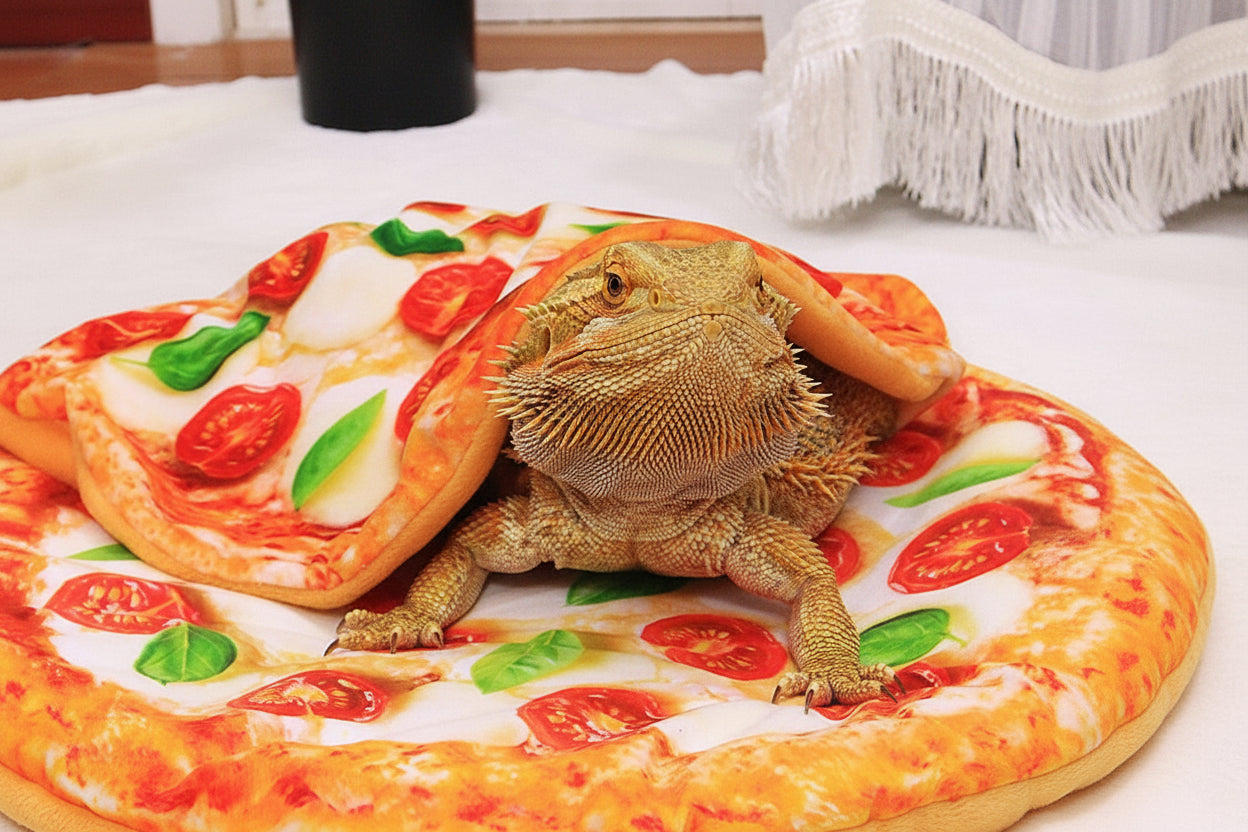 Quirky Beardie Mats & Snuggle Blankets
