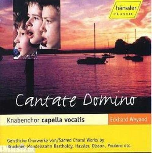 Serafini / Il Viaggio Musicale - Cantate Domino [CD]