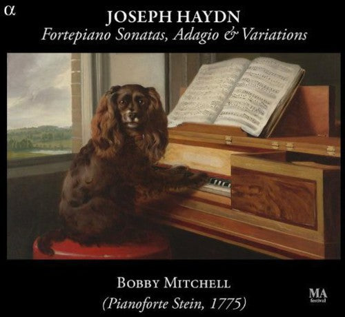 Haydn / Mitchell - Fortepiano Sons Adagio & Variations [CD]
