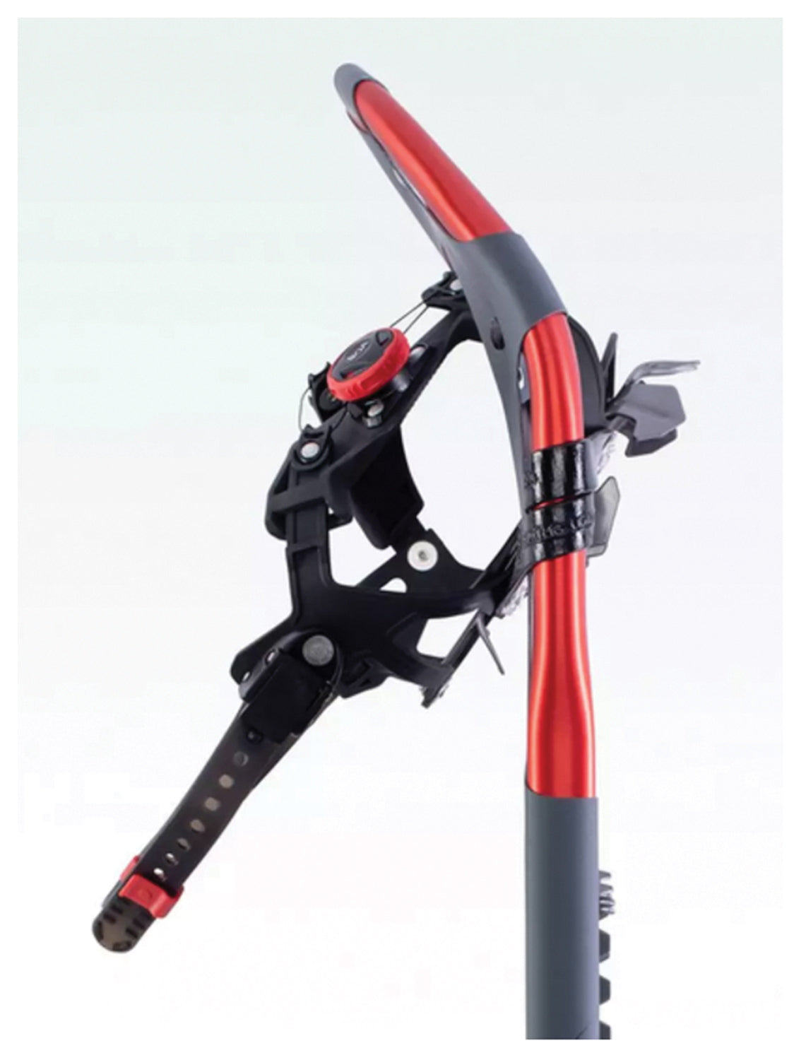 Atlas Treeline 30 Snowshoe