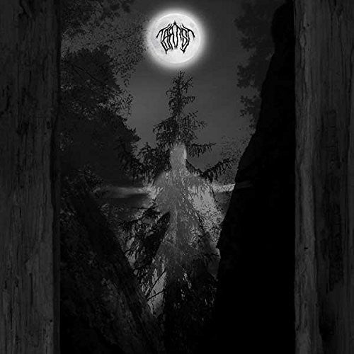 Taatsi - Amidst the Trees Music CD