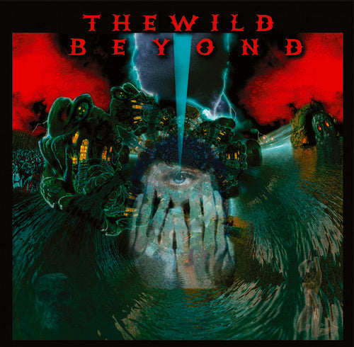 Wild Beyond - Wild Beyond - Vinyl Record