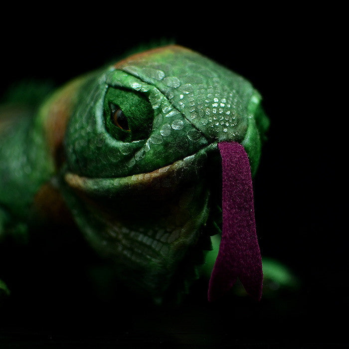 Green Iguana Plush