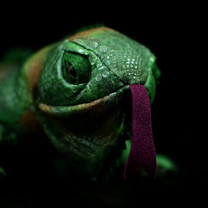 Green Iguana Plush