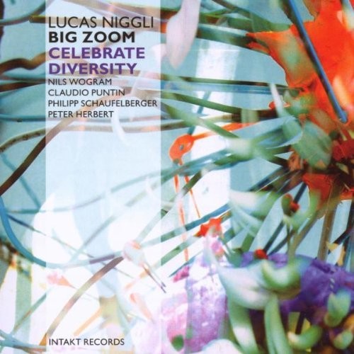 Niggli - Celebrate Diversity Zoom [CD]