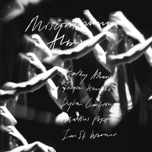 Jan Werner - Miscontinuum Album [LP] Vinyl Record