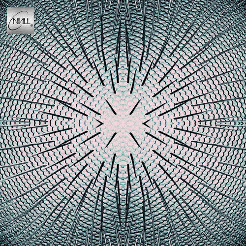 Null - Almost [Limited Edition Clear Vinyl] Vinyl Record