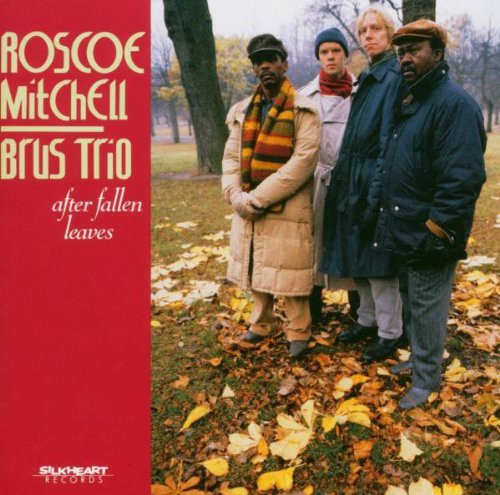 Roscoe Mitchell - After Fallen Leaves (Spa) Music CD