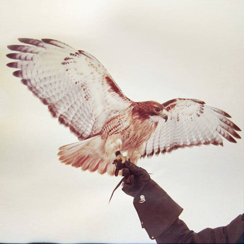 Jm Airis - Wild Birds [LP] Vinyl Record