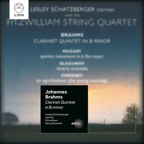 Brahms / Fitzwilliam String Quartet / Schatzberger - Clarinet Quintet [CD]