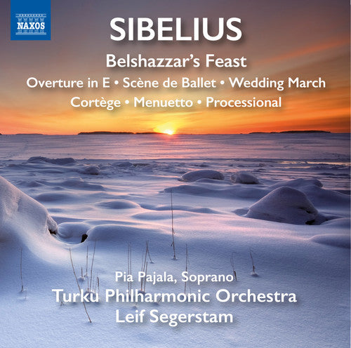 Sibelius / Turku Philharmonic Orchestra - Orchestral Works - Music CD
